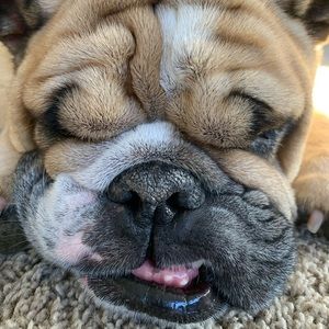 Meet your Posher, Stacie